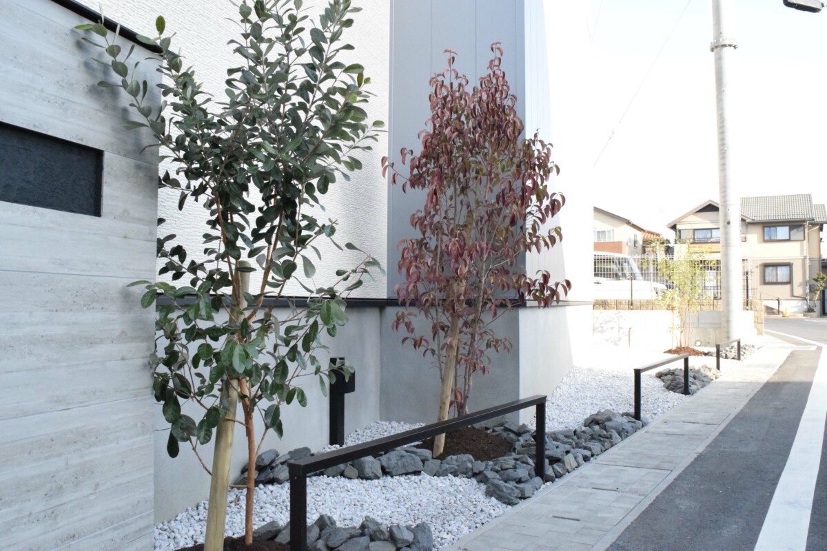 【植栽】フェイジョアや常緑ヤマボウシを配し、モノトーンの外構に柔らかな彩りと季節感を添えています。