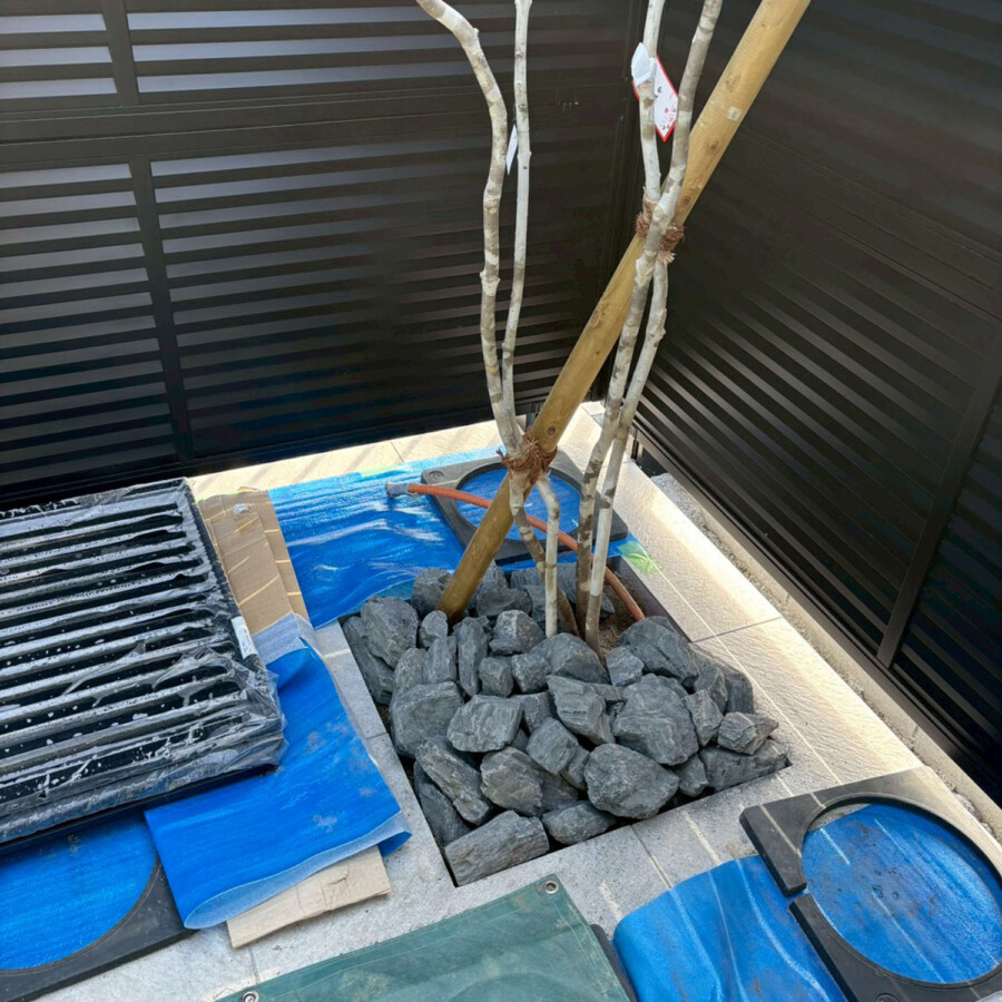滋賀県近江八幡市の新築外構現場にてタイルデッキに設けた植栽スペースにアオダモを植樹し周囲に割栗石を敷き詰めた様子。