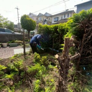 滋賀県草津市のリフォーム外構現場にて駐車場の拡張とカーポート設置のために職人が生垣や庭木を解体・撤去している様子。