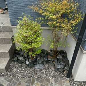 滋賀県草津市の新築外構現場にて玄関横の植栽スペースにドウダンツツジとナンテンを植え灰色の割栗石を敷いた様子。