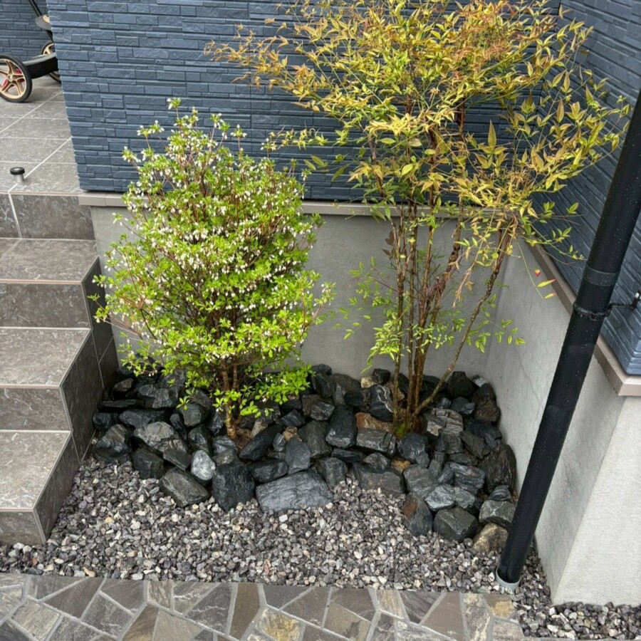 滋賀県草津市の新築外構現場にて玄関横の植栽スペースにドウダンツツジとナンテンを植え灰色の割栗石を敷いた様子。